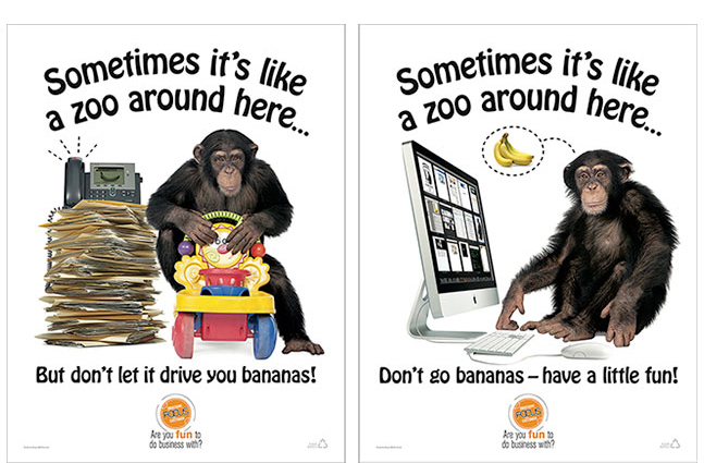poster like a zoo